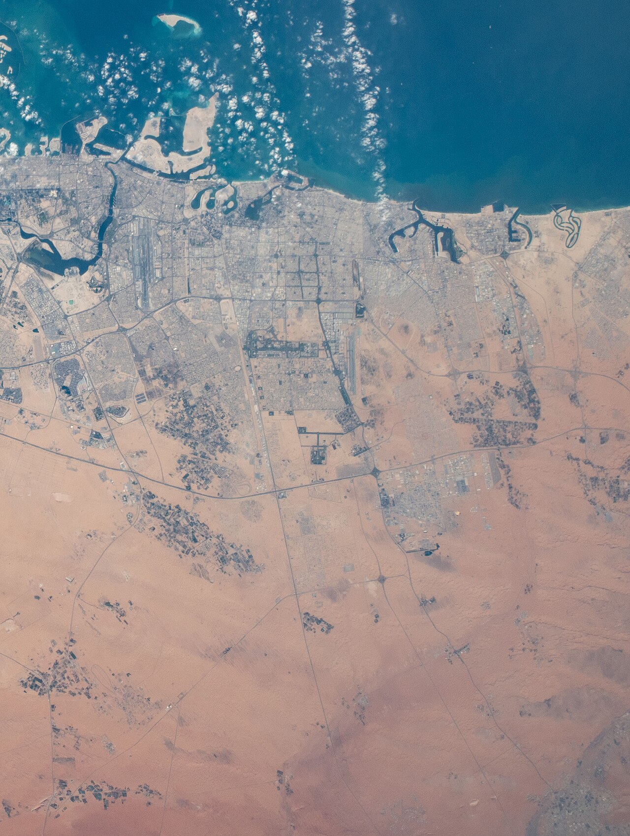 الأزهر يفرض العمل عن بُعد يوم الأحد أبريل