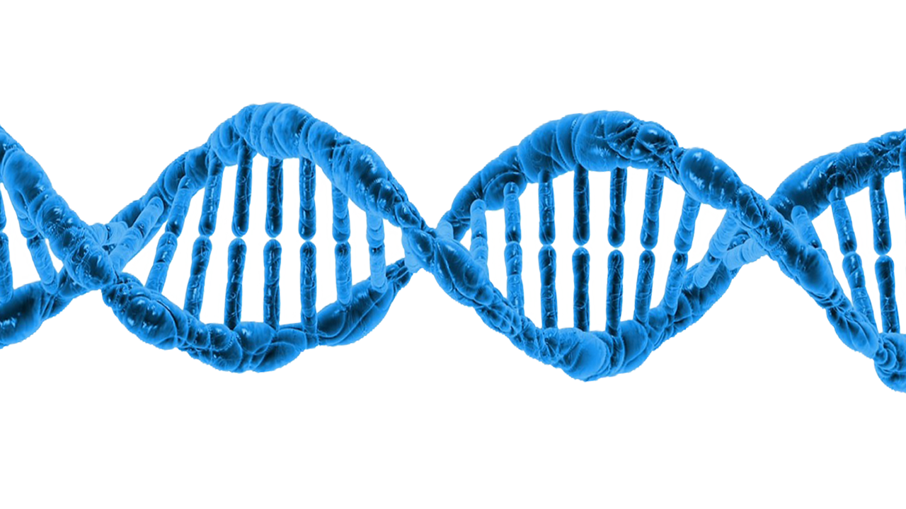 تاريخ الحمض النووي (DNA) من الاكتشاف إلى التحرير الجيني (1869-2026)
