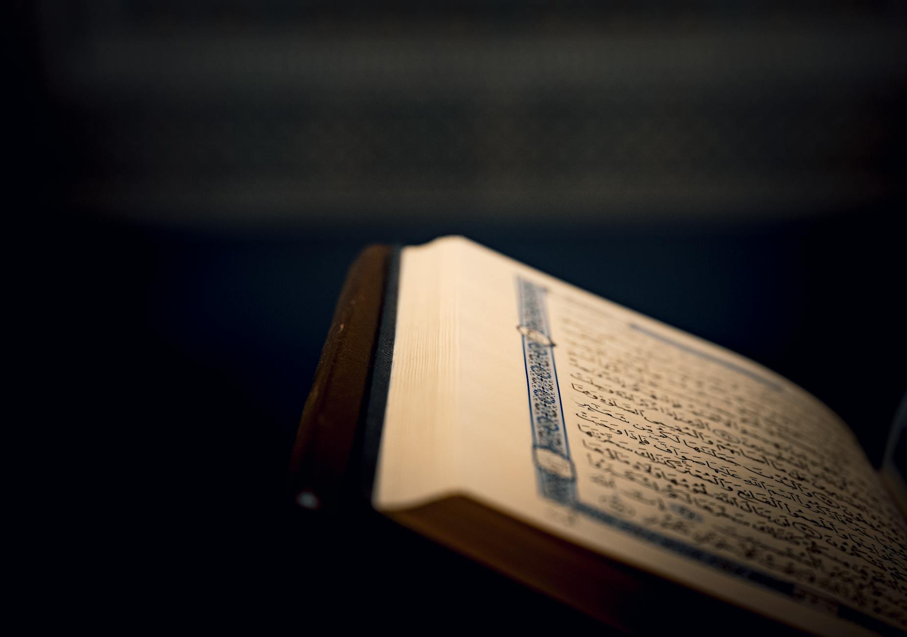 تاريخ الأدب العربي الحديث من عصر النهضة إلى 2026