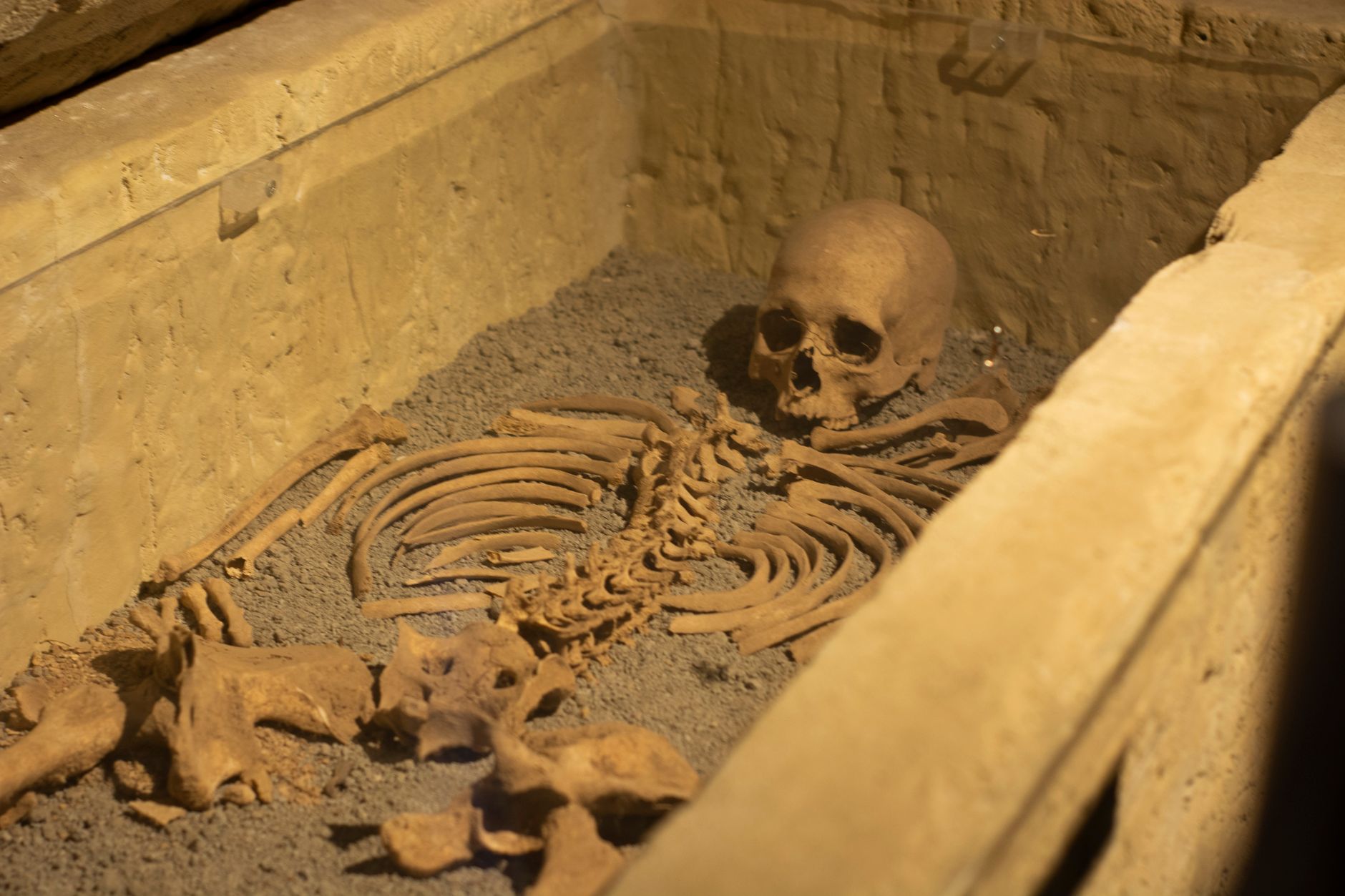 مقبرة باسر: كشف أثري يعود لـ3000 عام بالأقصر