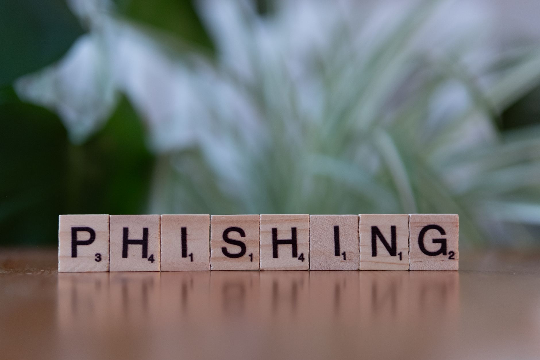 كيف تتجنب الوقوع ضحية للتصيد الاحتيالي (Phishing)
